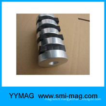 China ring magnet neodym